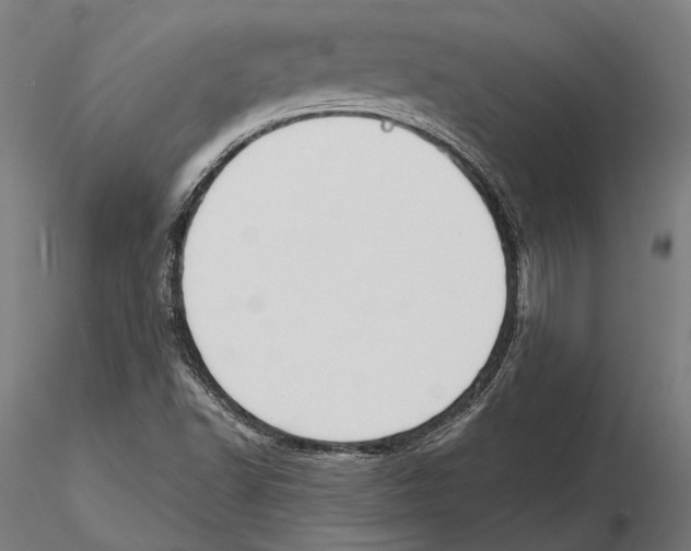 X0000115591502200912081037