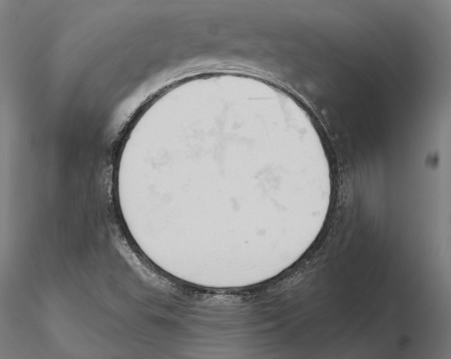 X0000115591503200912081037