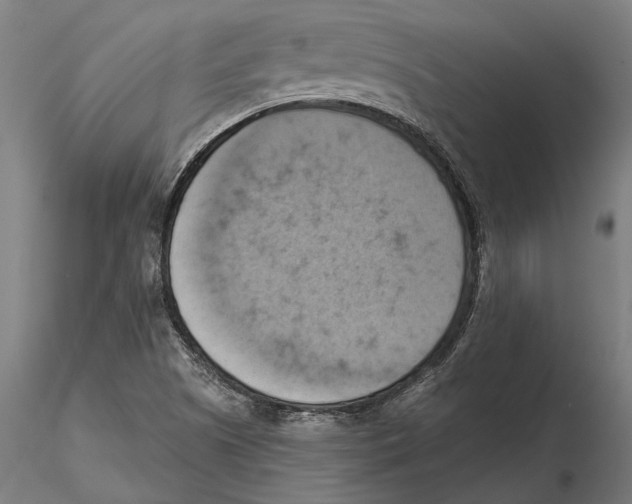 X0000115591505200912081037