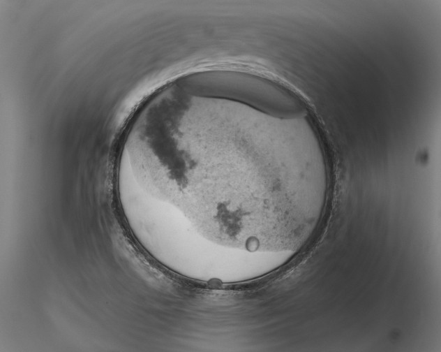 X0000115591506200912081037