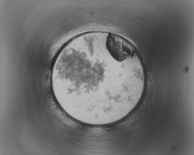 X0000115591507200912081037