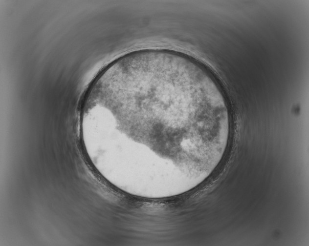 X0000115591509200912081037