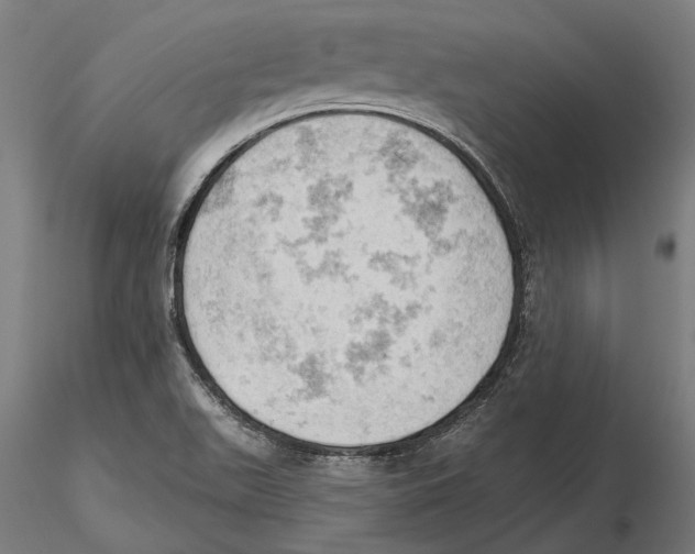 X0000115591511200912081037