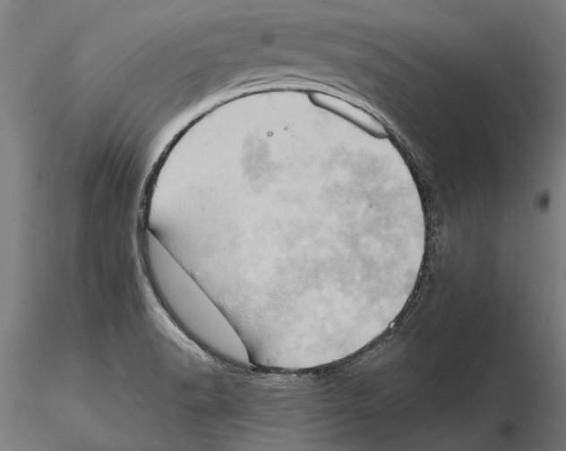 X0000115591518200912081037