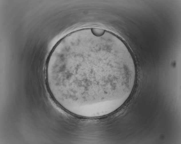 X0000115591519200912081037