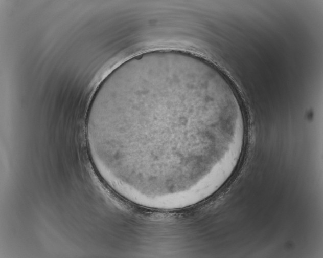 X0000115591521200912081037