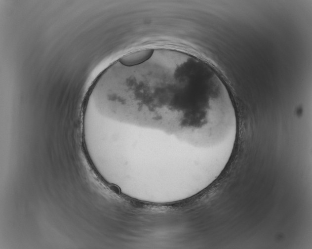 X0000115591522200912081037