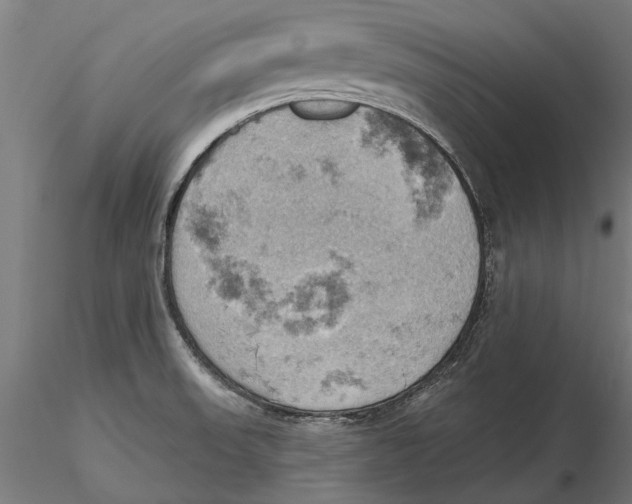 X0000115591523200912081037