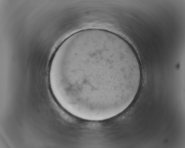 X0000115591525200912081037
