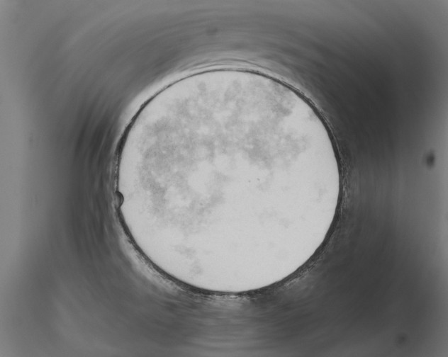 X0000115591526200912081037