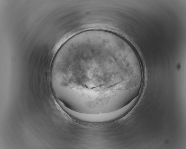 X0000115591529200912081037