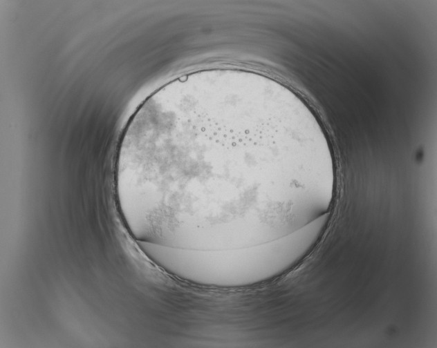 X0000115591530200912081037