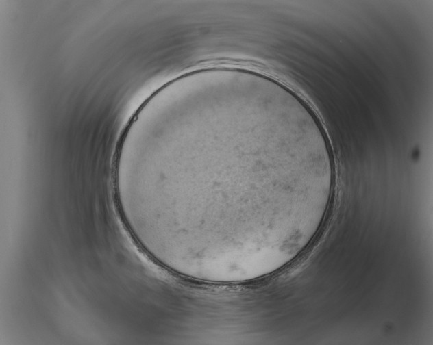 X0000115591533200912081037