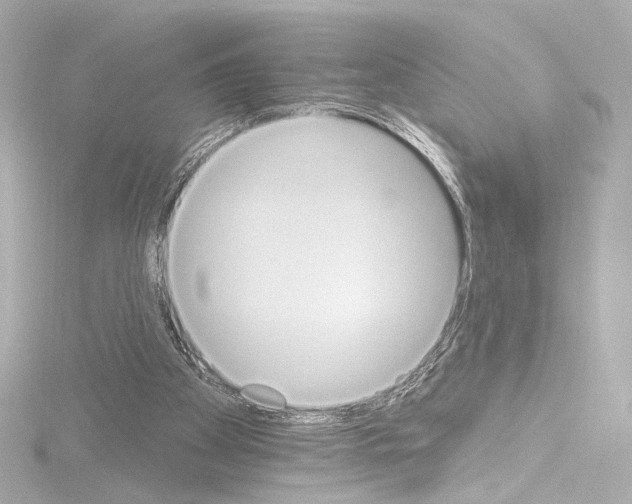 X0000115590105200912221116