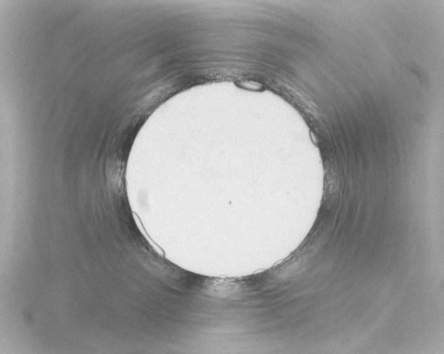X0000115590141200912221115