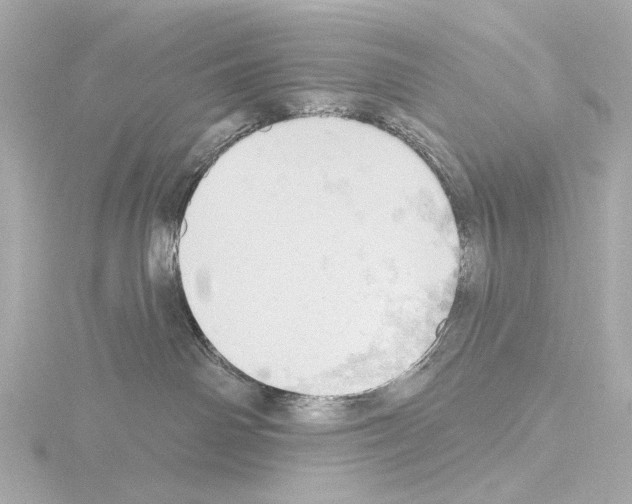 X0000115590142200912221115