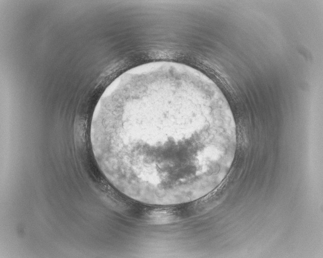 X0000115590171200912221115