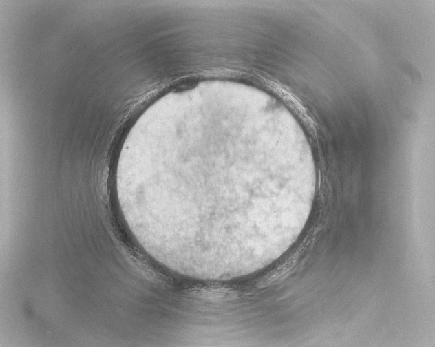 X0000115590201200912221115