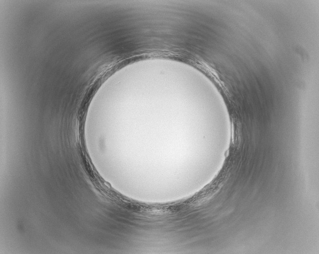 X0000115590205200912221115