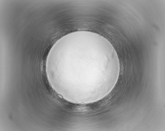 X0000115590219200912221114