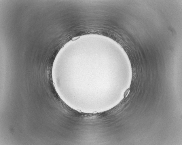 X0000115590235200912221114