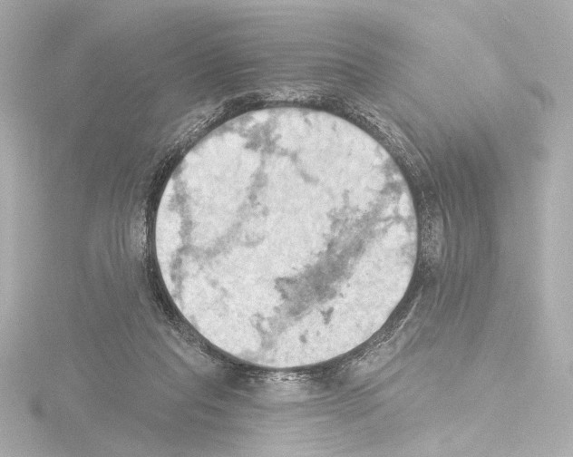 X0000115590261200912221114