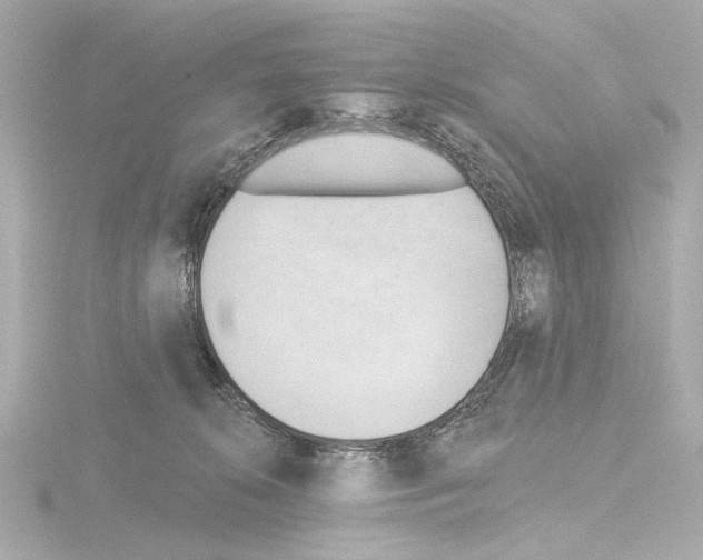 X0000115590276200912221114