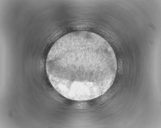 X0000115590278200912221114