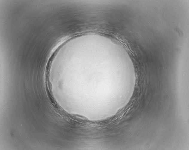 X0000115590292200912221114
