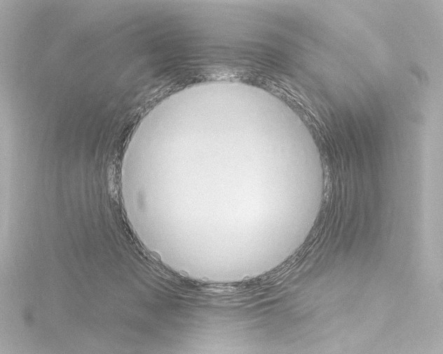 X0000115590317200912221113