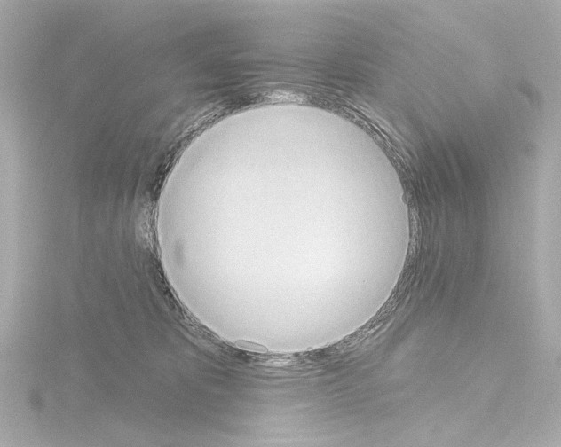 X0000115590325200912221113
