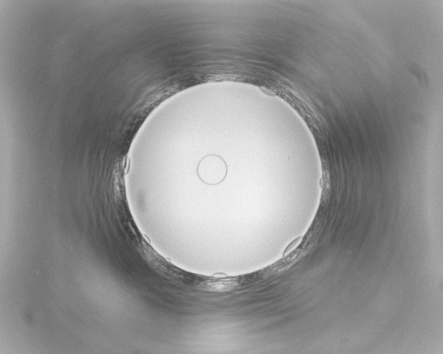 X0000115590333200912221113