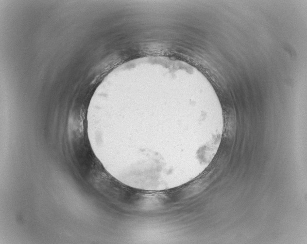 X0000115590334200912221113