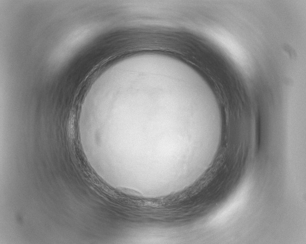 X0000115590387200912221112