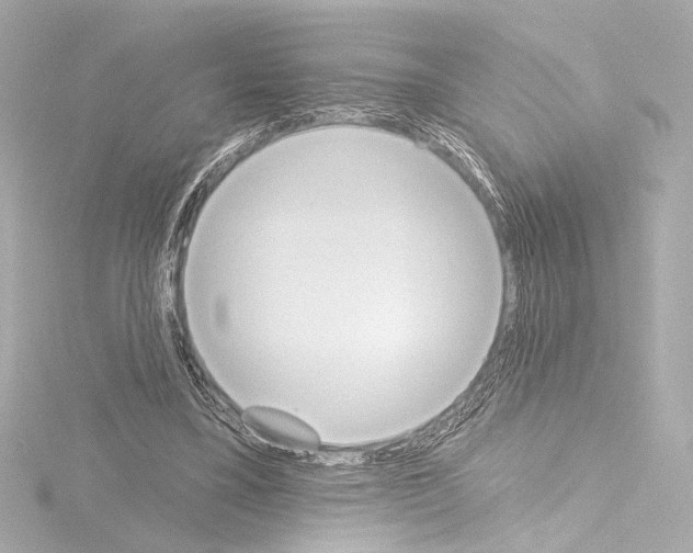X0000115590395200912221112