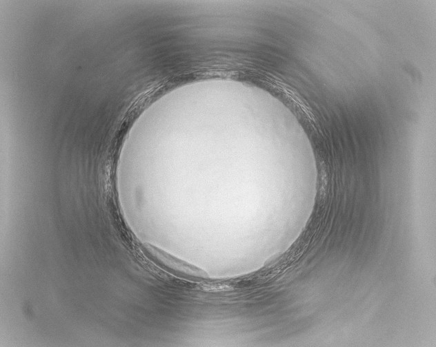 X0000115590403200912221112