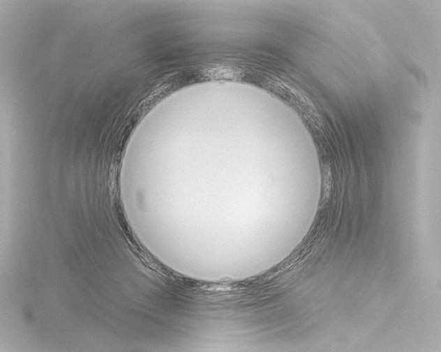 X0000115590409200912221112