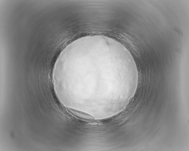 X0000115590415200912221112