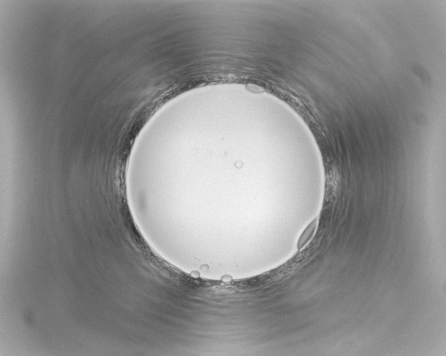 X0000115590423200912221112