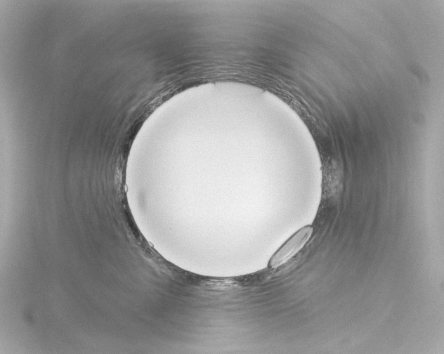 X0000115590427200912221112