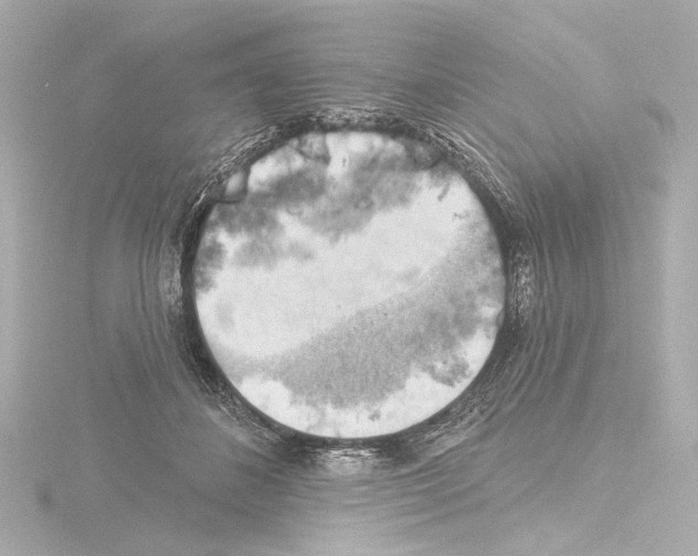 X0000115590508200912221111
