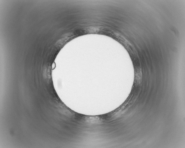 X0000115590525200912221111