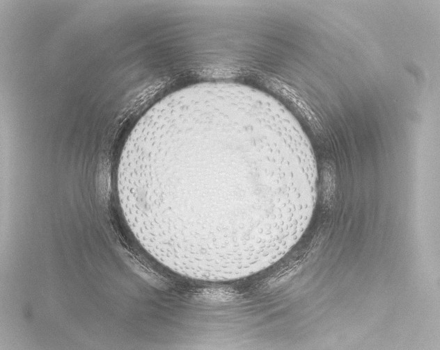 X0000115590541200912221110