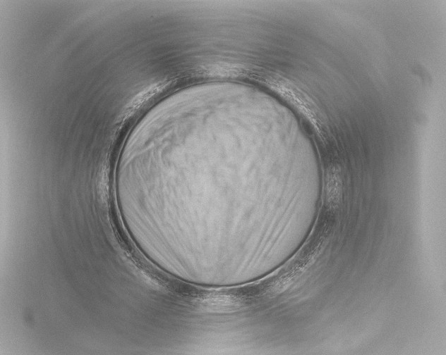 X0000115590581200912221110