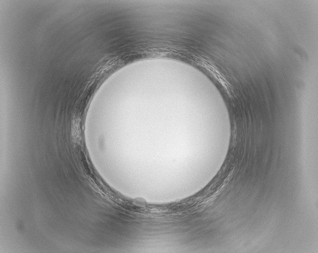 X0000115590585200912221110