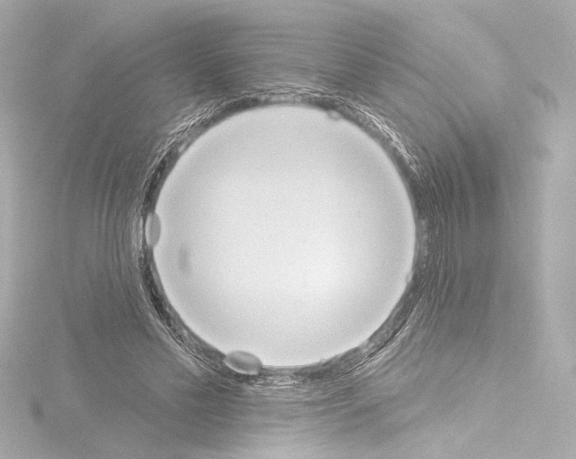 X0000115590589200912221110