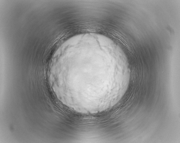 X0000115590595200912221110