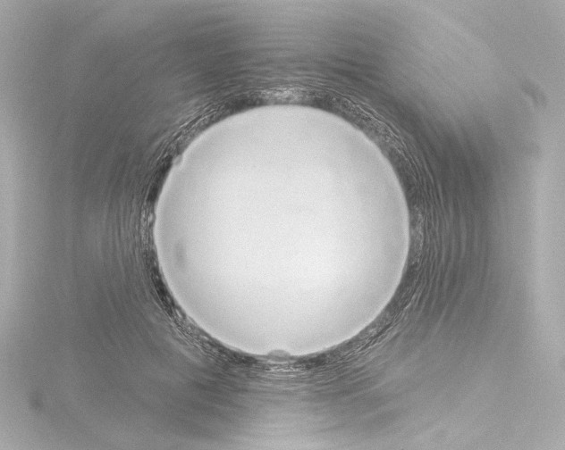 X0000115590601200912221110