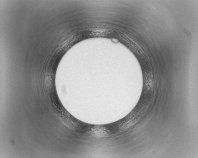 X0000115590603200912221110