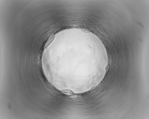 X0000115590611200912221110